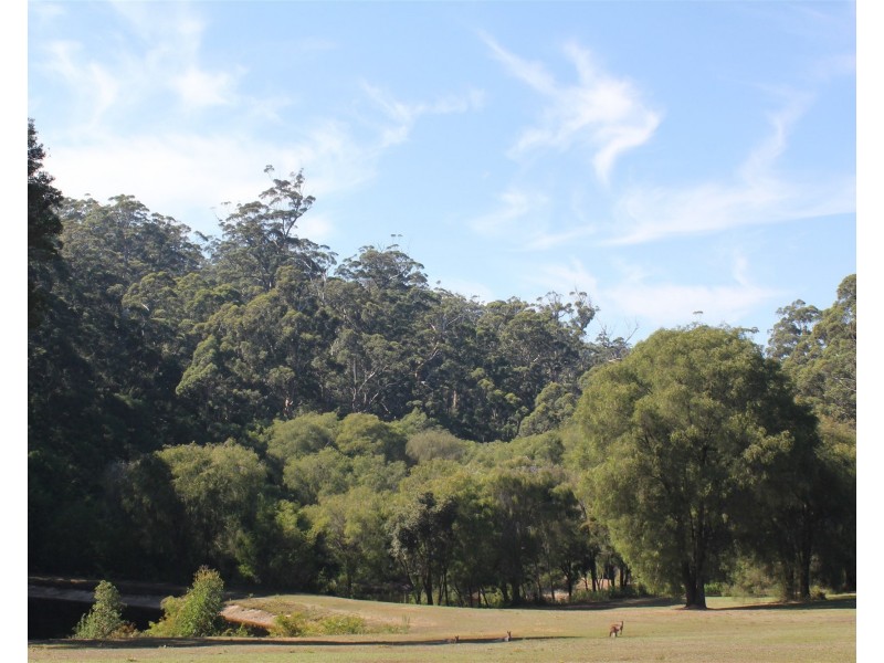 388 Old Vasse Road, Yeagarup WA 6260