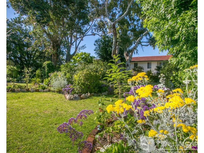 10/379 Hector Street, Yokine WA 6060