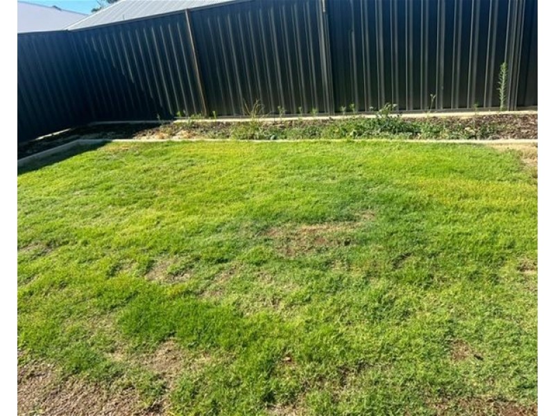43 Stithians Ave, Aveley WA 6069