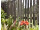 64 Laurel Drive, Burpengary QLD 4505