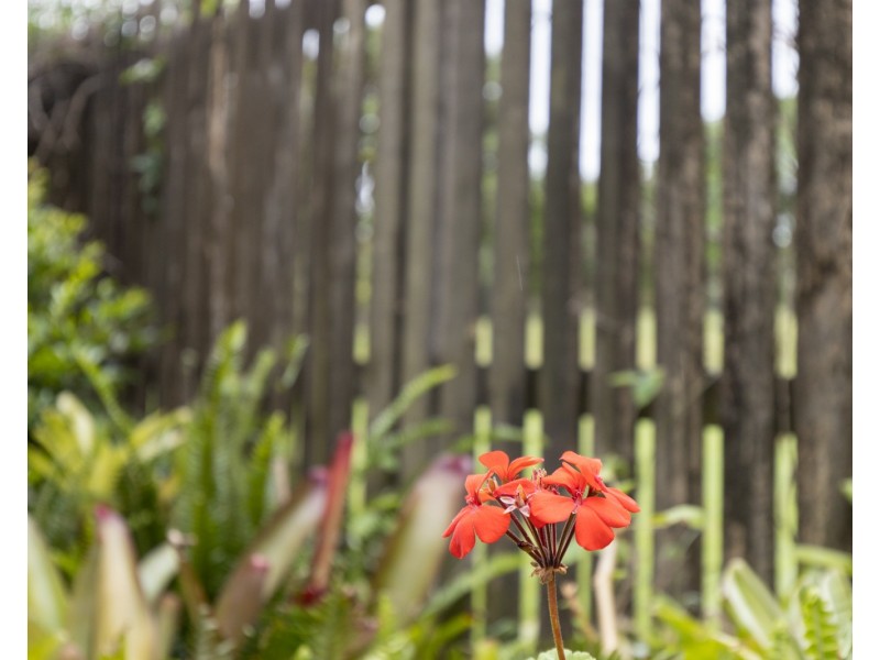 64 Laurel Drive, Burpengary QLD 4505