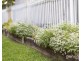 17 Kurrajong Drive, Warner QLD 4500