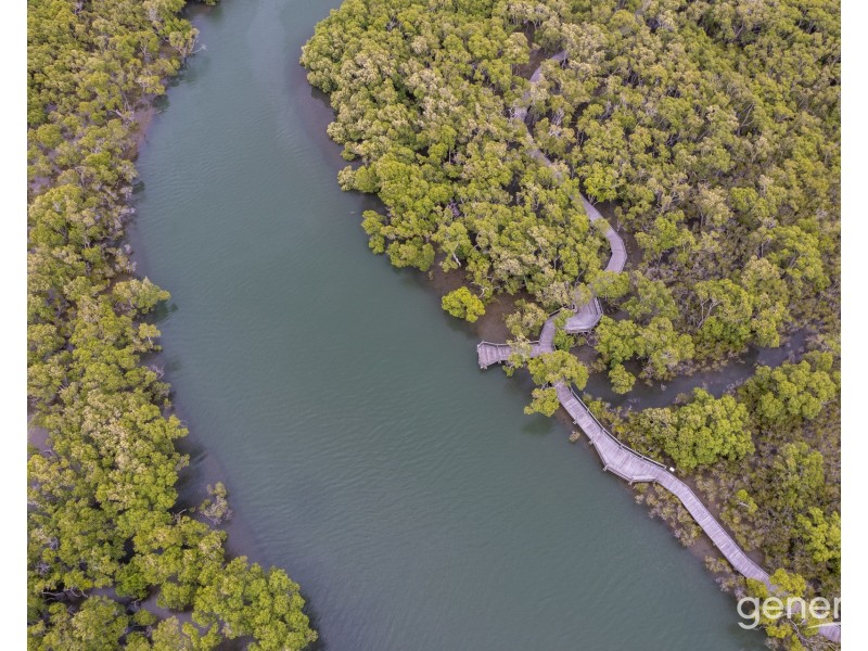 98 Oquinn Street, Nudgee Beach QLD 4014