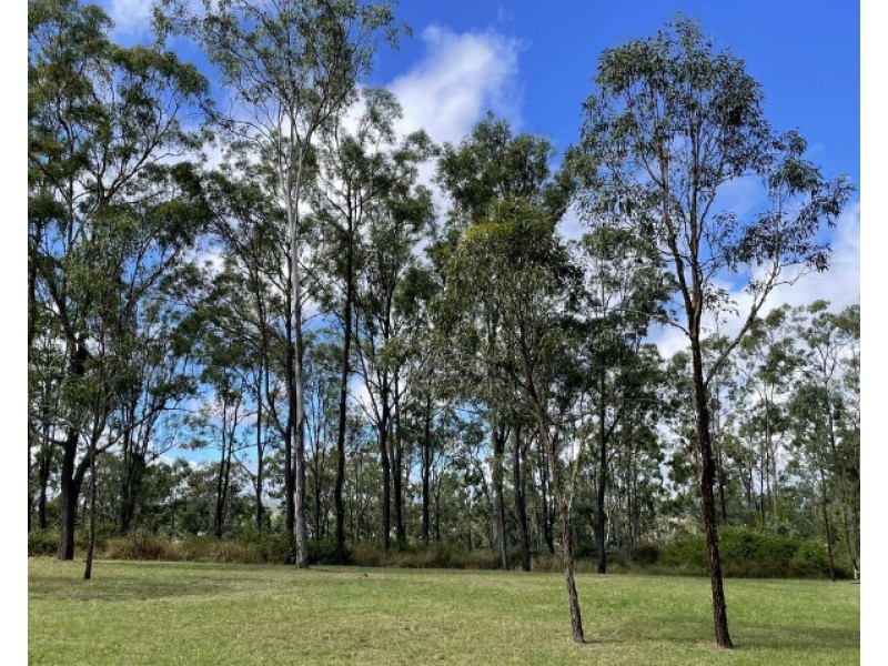 Lot 28 Thompson Road, Runnymede QLD 4615