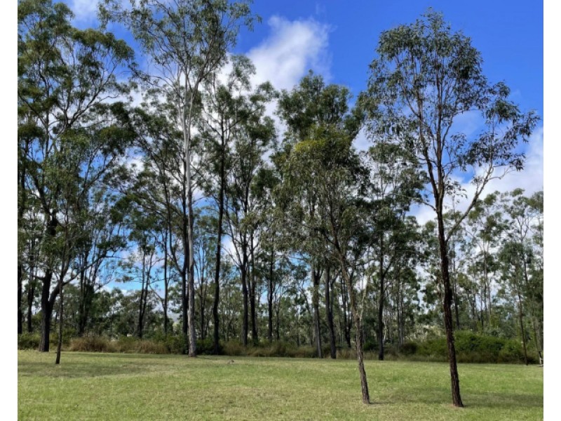 Lot 28 Thompson Road, Runnymede QLD 4615