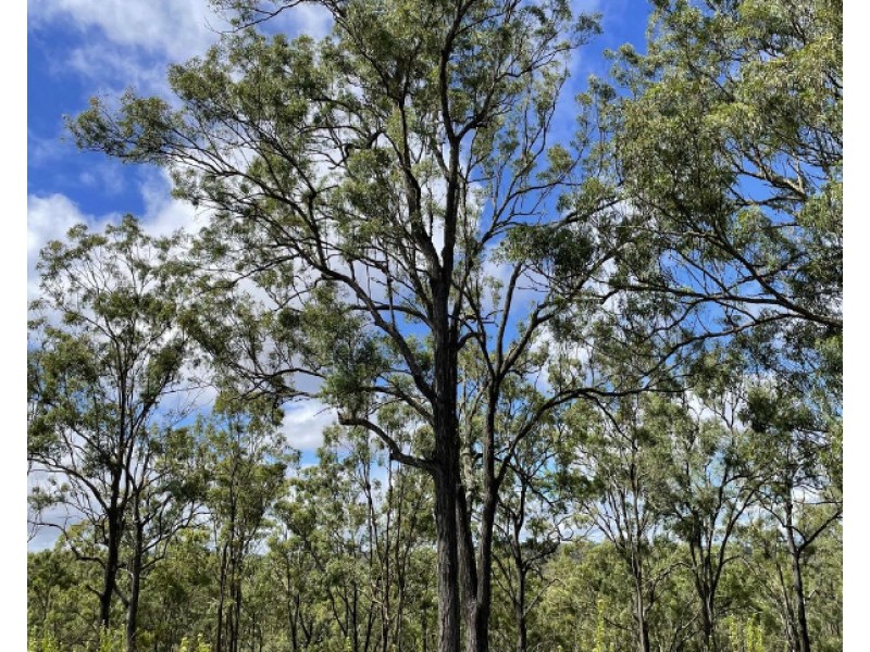 Lot 28 Thompson Road, Runnymede QLD 4615