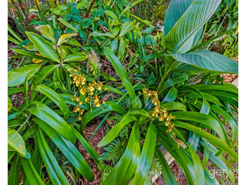 4 Eva Street, Deagon QLD 4017