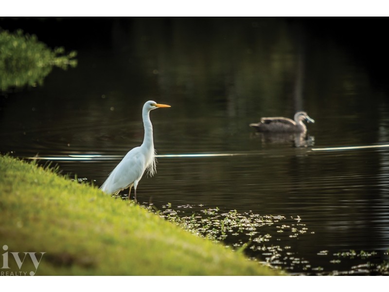 Lot 13/9213 Peter Senior Drive, Hope Island QLD 4212