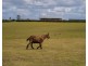 134 Four Mile Lane, Boyland QLD 4275