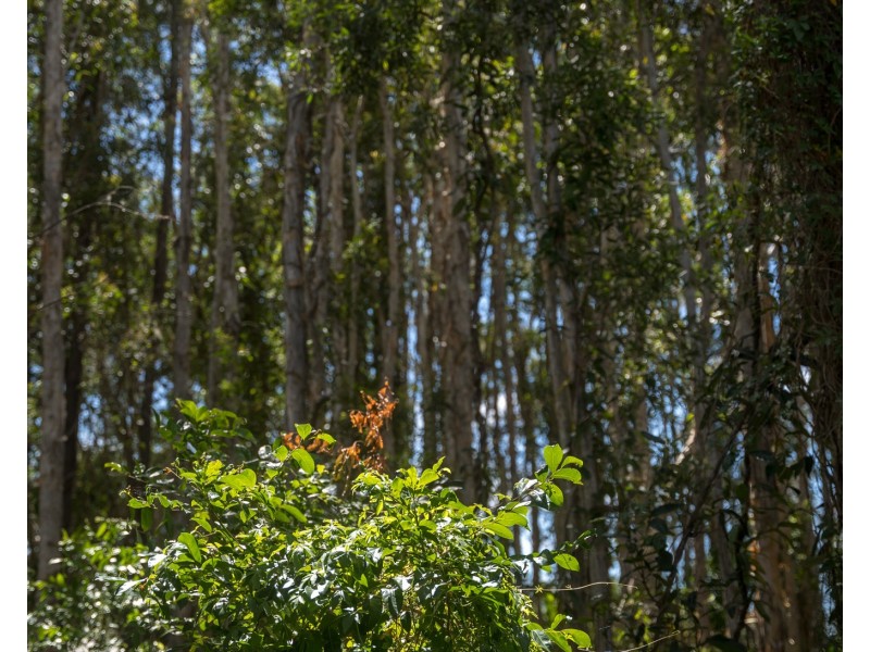 45/4A-8 Hansford Road, Coombabah QLD 4216