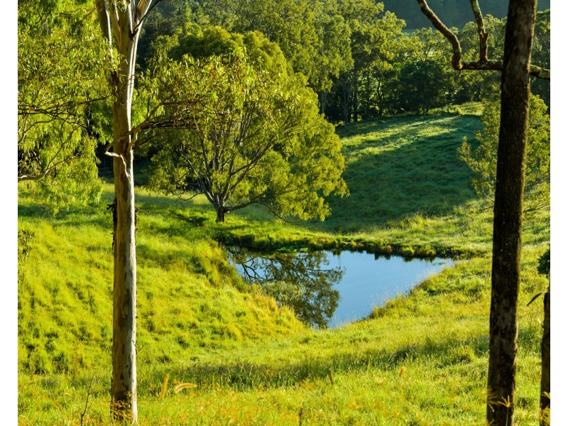 Lot 2 Illinbar Road, Ferny Glen QLD 4275