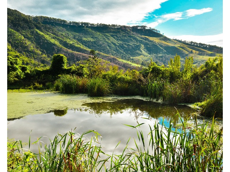 Lot 2 Illinbar Road, Ferny Glen QLD 4275
