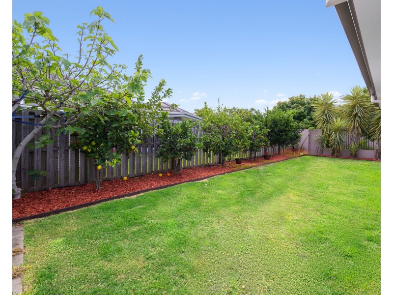 16 Azure Way, Hope Island QLD 4212
