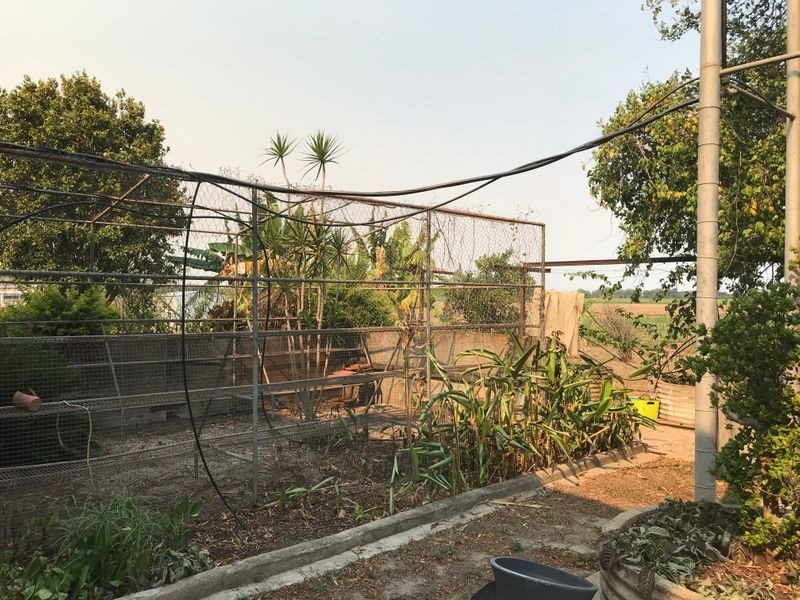 249 Walkerston Homebush Road, Palmyra QLD 4751