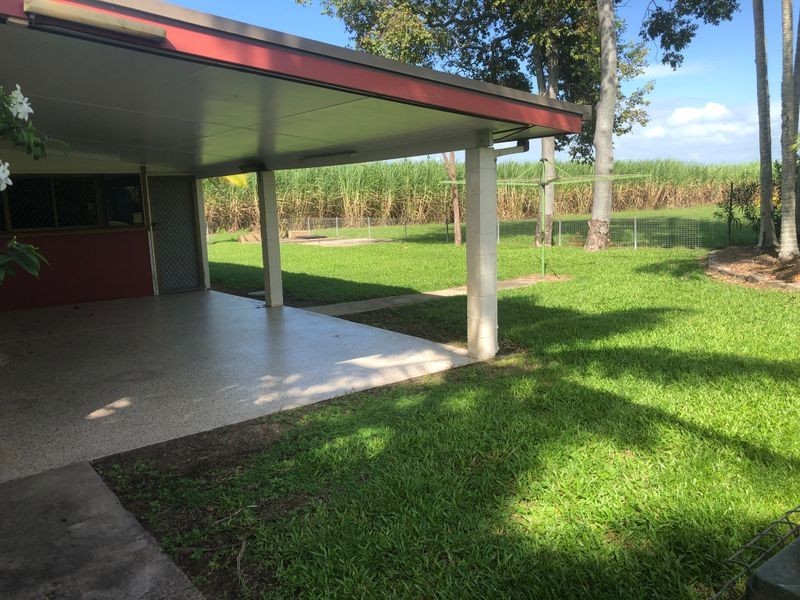 256 Walkerston Homebush Road, Walkerston QLD 4751