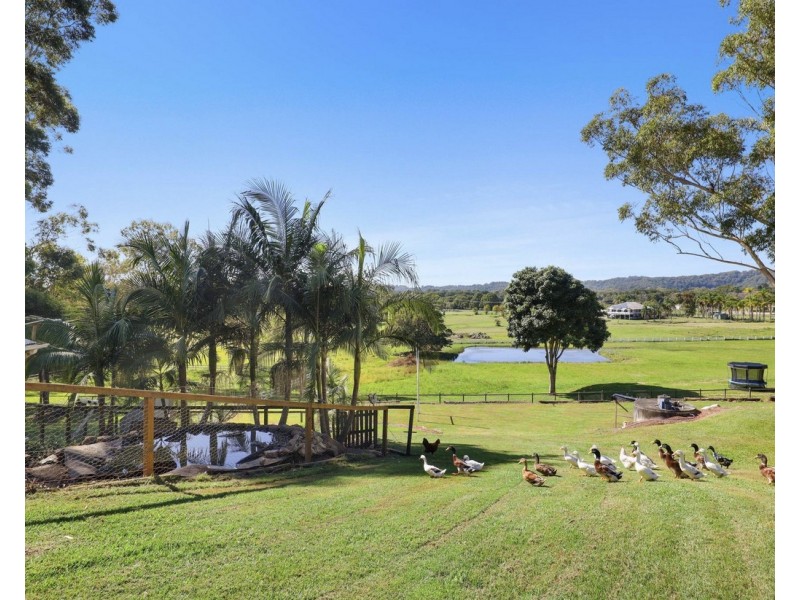 8 Joyce Court, Tallebudgera QLD 4228