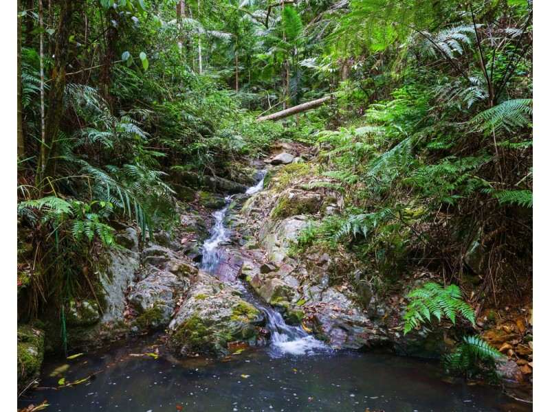 1526 Currumbin Creek Road, Currumbin Valley QLD 4223