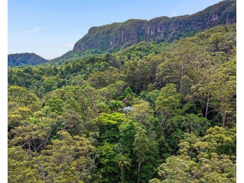 1526 Currumbin Creek Road, Currumbin Valley QLD 4223