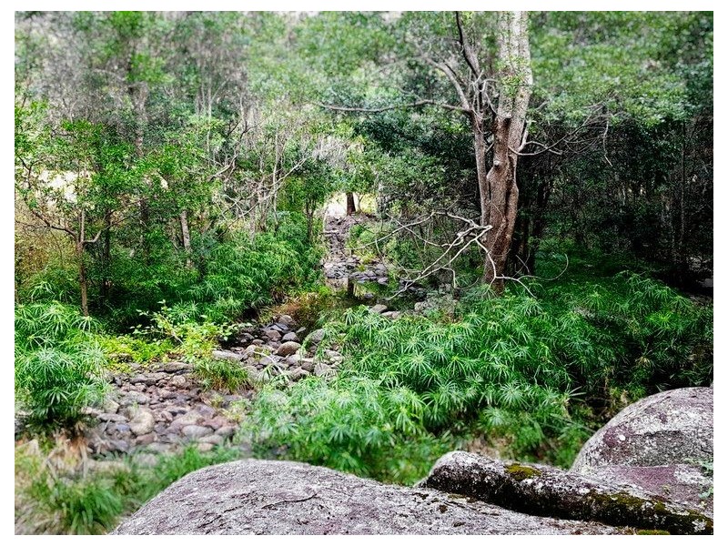 39 Dawson Creek Road, Highvale QLD 4520