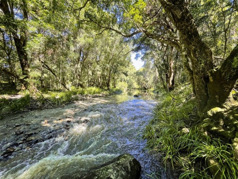 Gibbons Road, Samford Valley QLD 4520