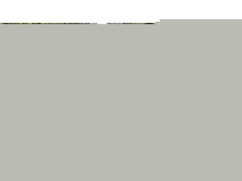 Gibbons Road, Samford Valley QLD 4520