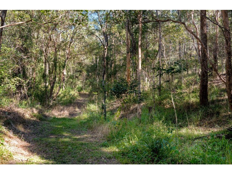 245 Cedar Creek Road, Cedar Creek QLD 4520