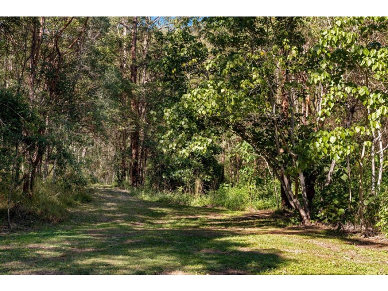 245 Cedar Creek Road, Cedar Creek QLD 4520