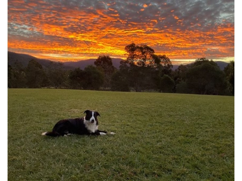 105 Smiths Road, Wights Mountain QLD 4520