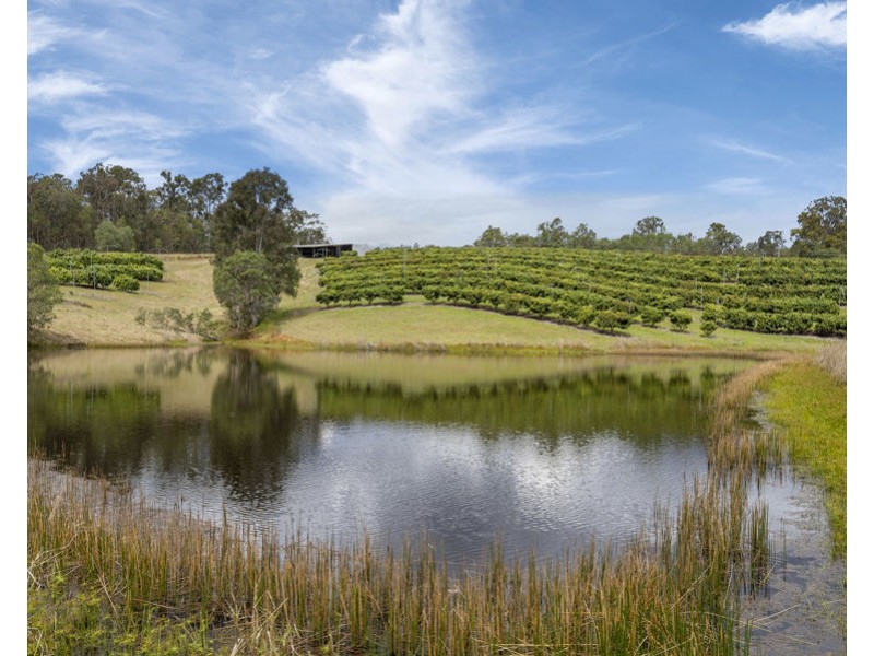 281 Postmans Track, Kobble Creek QLD 4520