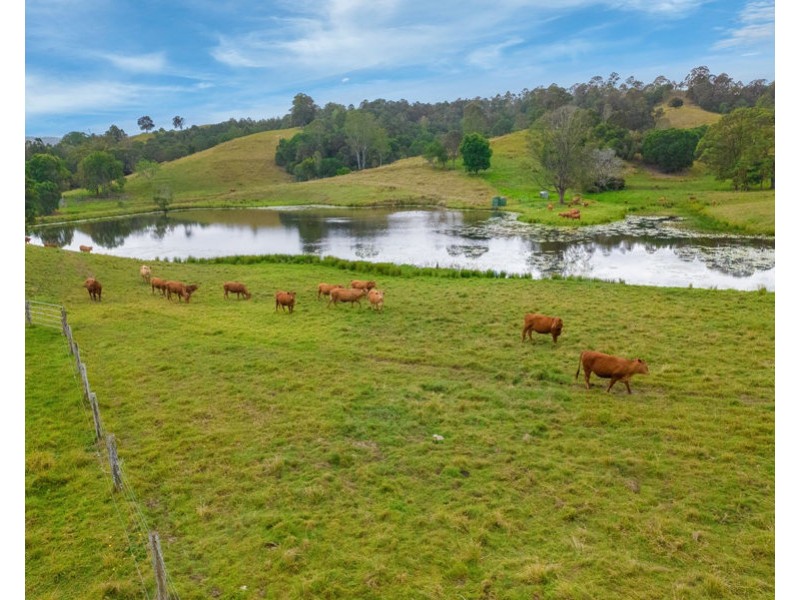 673 Laceys Creek Road, Laceys Creek QLD 4521