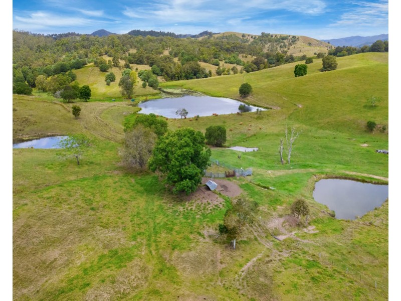 673 Laceys Creek Road, Laceys Creek QLD 4521