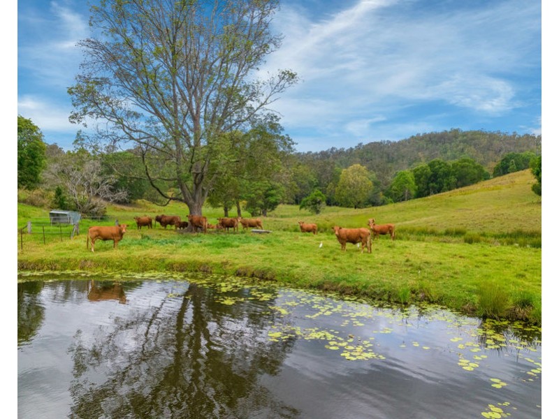 673 Laceys Creek Road, Laceys Creek QLD 4521