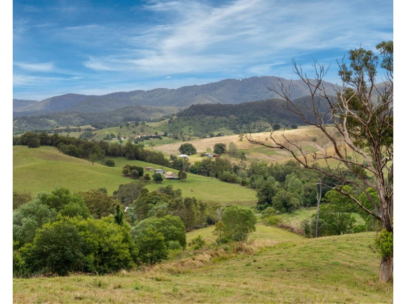 673 Laceys Creek Road, Laceys Creek QLD 4521