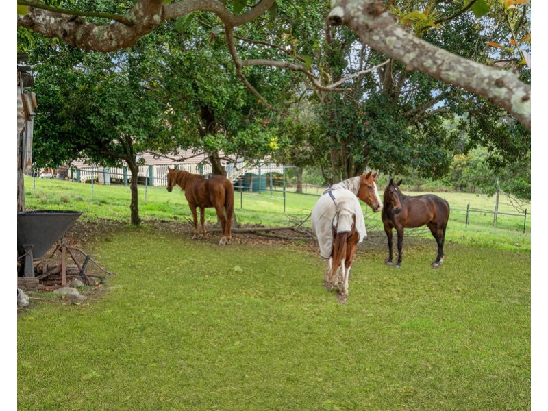 673 Laceys Creek Road, Laceys Creek QLD 4521