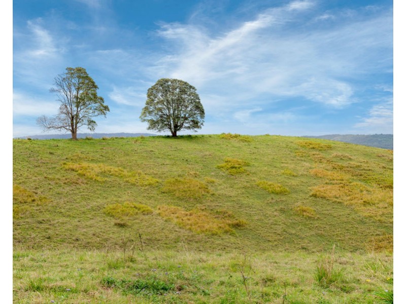 673 Laceys Creek Road, Laceys Creek QLD 4521