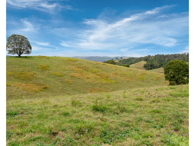 673 Laceys Creek Road, Laceys Creek QLD 4521