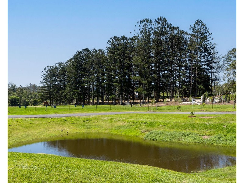 19 Rive Court, Wights Mountain QLD 4520