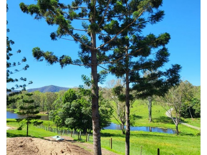 Wights Mountain QLD 4520