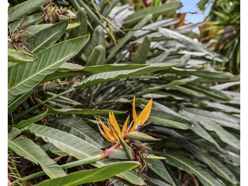 11 Gregan Court, Shailer Park QLD 4128