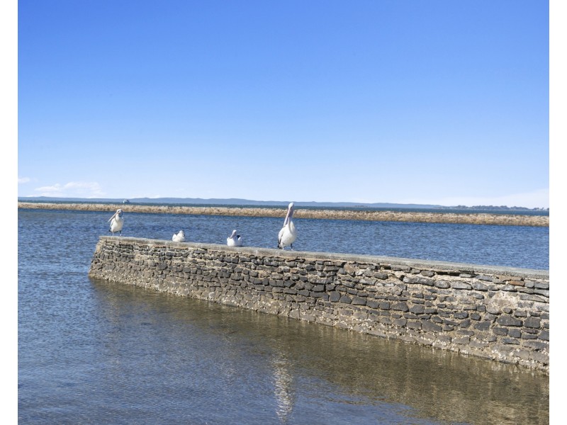 89 Adam Street, Wynnum QLD 4178