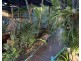 58 SUNSHINE AVENUE, Tarragindi QLD 4121