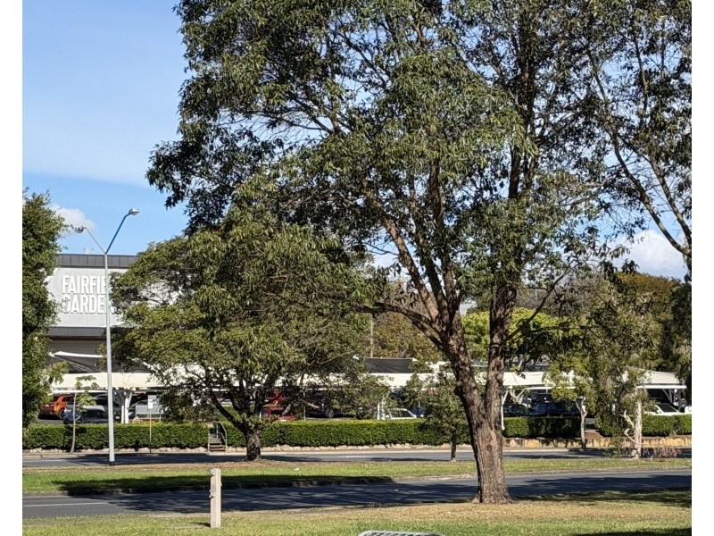 34 CROSS STREET, Fairfield QLD 4103