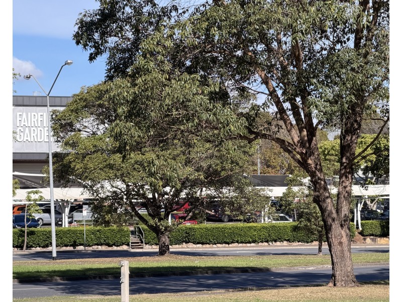 34 CROSS STREET, Fairfield QLD 4103