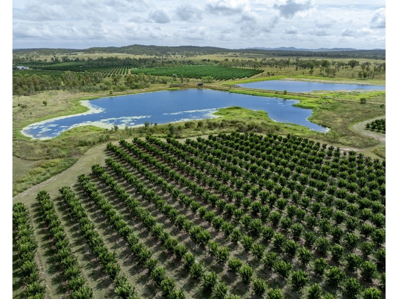 166 Grays Road, Wetheron QLD 4625