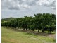 166 Grays Road, Wetheron QLD 4625