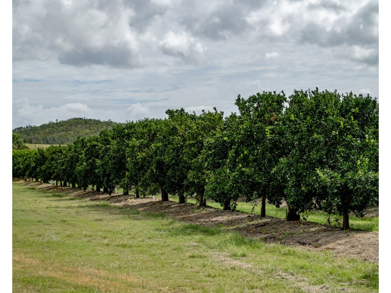 166 Grays Road, Wetheron QLD 4625