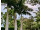 Unit 2/31 BAY VISTA LANE, Byron Bay NSW 2481