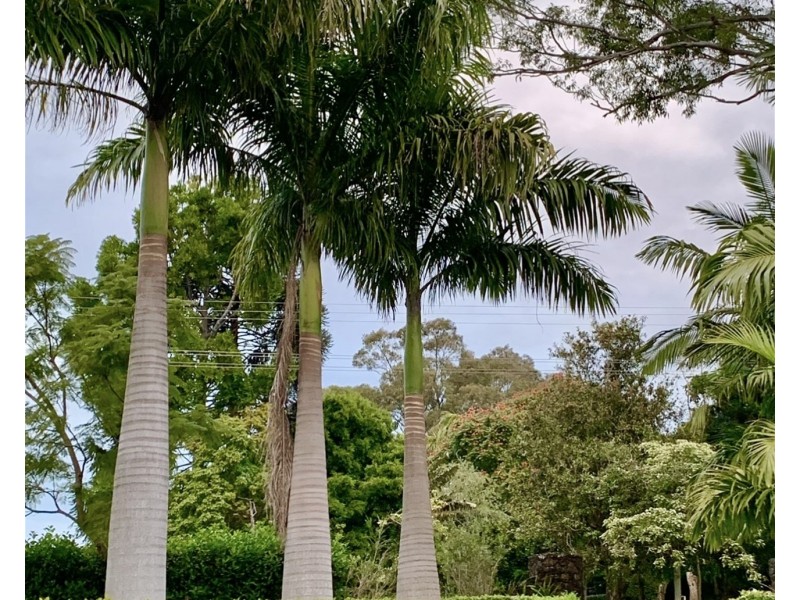 Unit 2/31 BAY VISTA LANE, Byron Bay NSW 2481
