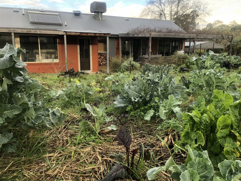 3539 Great Alpine Road, Gapsted VIC 3737