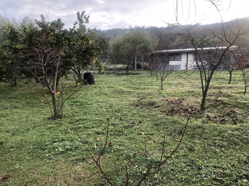 3539 Great Alpine Road, Gapsted VIC 3737